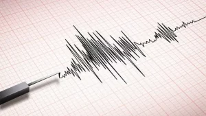 Gempa Magnitudo 4,5 Guncang Blitar, Terasa hingga Malang