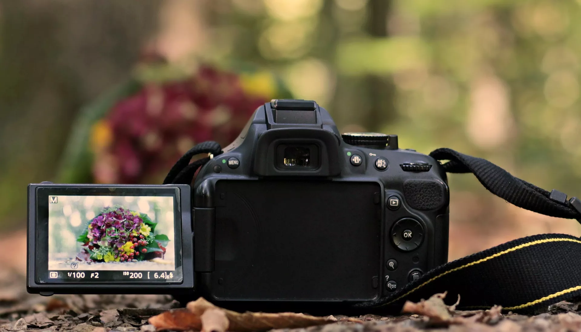 Multimedia Profesional Tanpa Kamera Mahal? Bisa Banget!