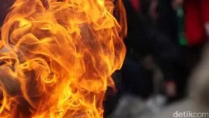 Pabrik Tahu di Bogor Terbakar, Kerugian Capai Rp150 Juta