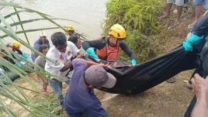 Warga Sumbar Diserang Buaya Saat Menyeberang Kanal, Tewas