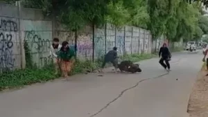 Viral Tawuran di Sukatani Depok, Warga Langsung Bubarkan