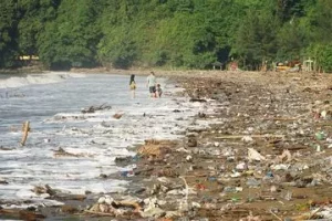 Pantai Gemah Penuh Sampah Usai Diterjang Banjir Bandang