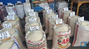 Amran Ungkap Dalang Harga Beras Meroket!