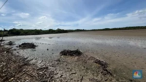 Garam Raksasa RI di Perbatasan Australia: Mimpi Terwujud?