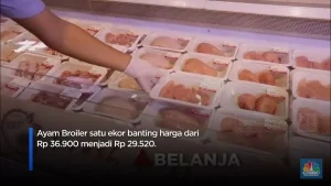 Transmart Promo Ayam Broiler â Hanya Hari Ini