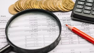 Guru Besar UI: Tambah Pemasukan Negara Tanpa Naikkan Pajak
