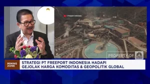 Video: Bos Freeport Bongkar Tantangan Hilirisasi RI