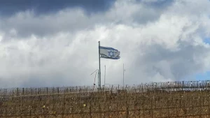 Israel Gila Perang Tapi Ekonominya Membaik, Ini Rahasianya