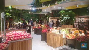 Transmart Diskon Buah: Jeruk Madu & Anggur Harga Spesial