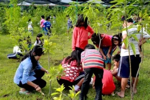 Anak Harus Peduli Lingkungan, Belajar dari Sekolah
