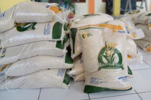 Jutaan KPM PKH dan BPNT Dapat Beras 20 Kg Gratis, Begini Cara dan Lokasi Pengambilannya