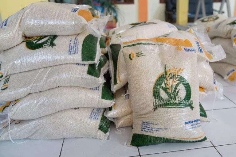 Jutaan KPM PKH dan BPNT Dapat Beras 20 Kg Gratis, Begini Cara dan Lokasi Pengambilannya