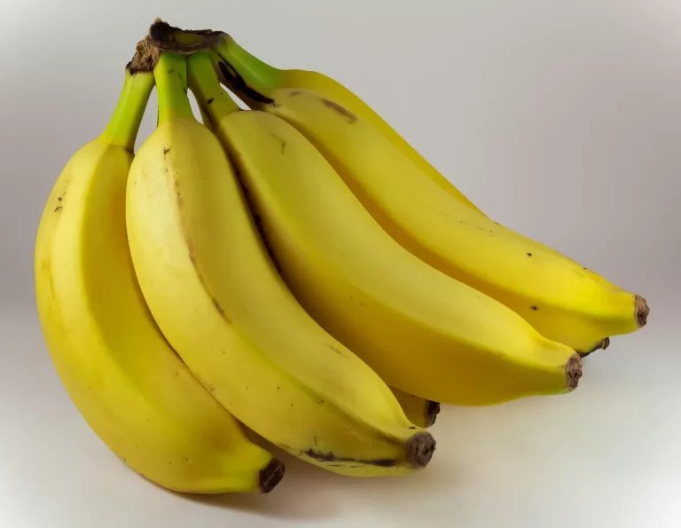 BANANAS31 Mengalami Lonjakan 61% Mencapai Harga Tertinggi Sepanjang Masa | Meme Coins yang Perlu Diperhatikan Hari Ini