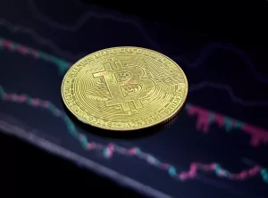 BTC Resmi Jadi Aset Terbesar Kelima Dunia, Harga Sentuh US$ 112 Ribu