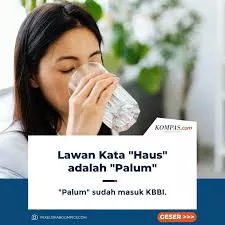 KBBI Resmi Sahkan Kata “Palum” sebagai Lawan Kata “Haus” – Apa Artinya?