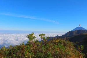 Gunung Semeru Terus Erupsi, Sudah 2.046 Kali di Tahun 2025
