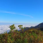 Prosedur Evakuasi yang Tepat Saat Gunung Semeru Mengalami Erupsi