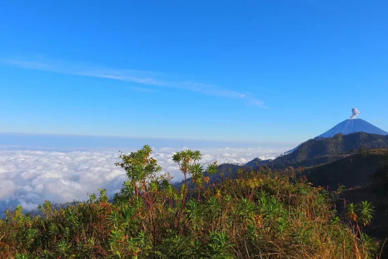 Prosedur Evakuasi yang Tepat Saat Gunung Semeru Mengalami Erupsi