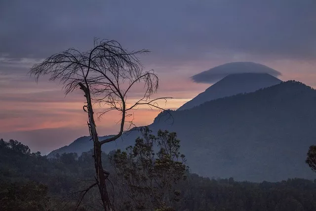 Gunung Semeru Erupsi Pagi Ini, Kolom Letusan Capai 700 Meter
