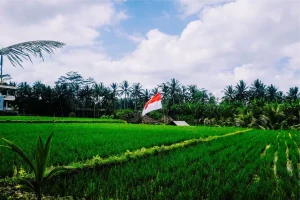 Bocah Putus Sekolah di Parungpanjang Terima Bantuan Rp15 Juta dari Gubernur Dedi Mulyadi