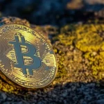 Bitcoin Capai Rekor Tertinggi Baru: Apa yang Akan Terjadi Selanjutnya?