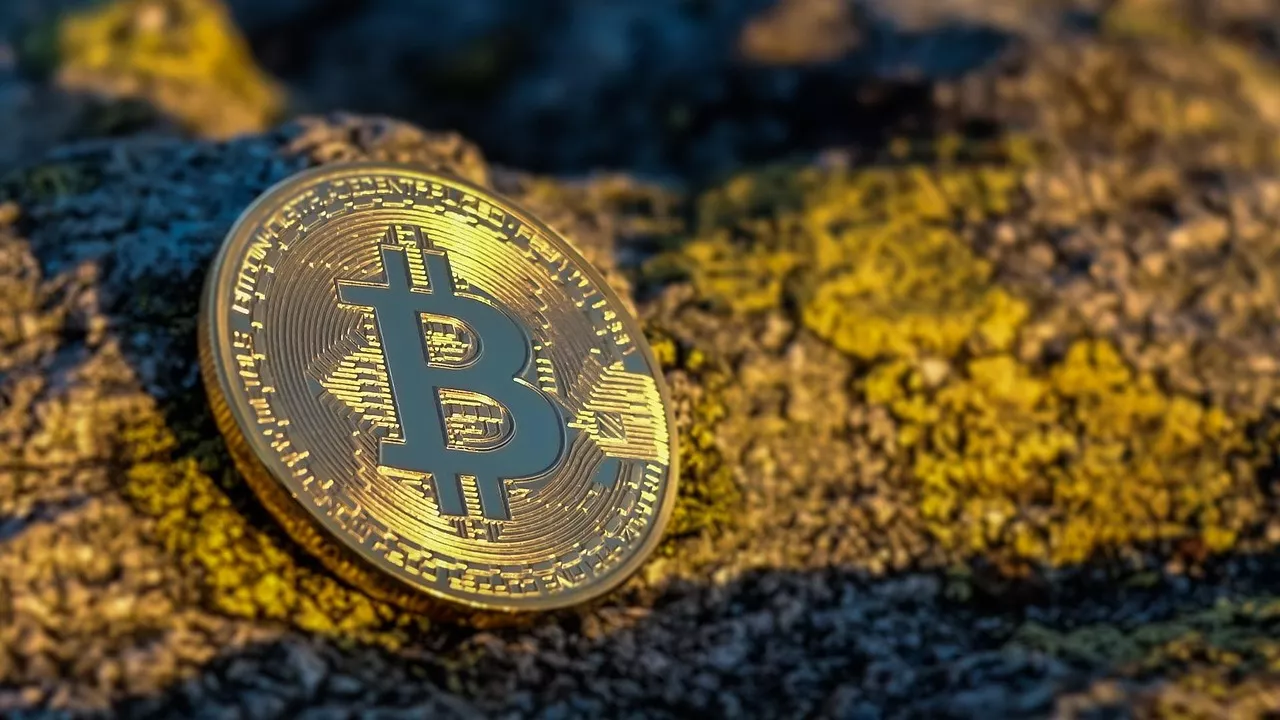 Bitcoin Capai Rekor Tertinggi Baru: Apa yang Akan Terjadi Selanjutnya?