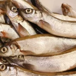 Pemkab Donggala Targetkan Meningkatkan Konsumsi Ikan di Tahun 2025