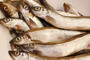 Pemkab Donggala Targetkan Meningkatkan Konsumsi Ikan di Tahun 2025