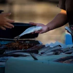 Pemkab Donggala Salurkan Ikan Segar dan Makanan Tambahan untuk Tekan Angka Stunting