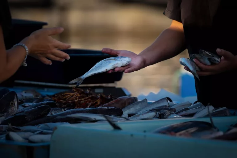 Pemkab Donggala Salurkan Ikan Segar dan Makanan Tambahan untuk Tekan Angka Stunting