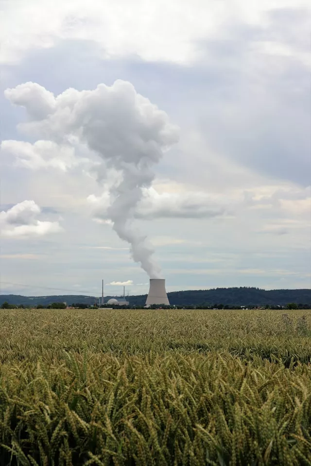 BRIN Ungkap Rencana Siapkan Teknologi Carbon Netting Berbasis Nuklir