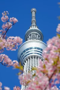 Saham ENRG Diprediksi Naik Signifikan, Didorong Akuisisi dan Mitra Strategis Jepang