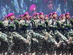 Wanti-Wanti Legislator Soal Mantan Marinir yang Gabung Tentara Rusia dan Ingin Jadi WNI Lagi