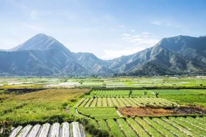 Pemkab Lombok Timur Siapkan Regulasi Pendakian Gunung Rinjani untuk Keamanan Wisatawan