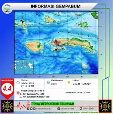 Gempa Magnitudo 4,4 Guncang Seram Bagian Timur, Maluku: Ini Fakta Terbarunya
