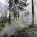 Kapolri Umumkan 46 Tersangka Kebakaran Hutan dan Lahan di Riau
