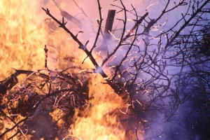 Kapolri Apresiasi Kerja Satgas Karhutla, Titik Hotspot Riau Menurun Signifikan