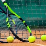 Aldila Sutjiadi, Petenis Wanita Indonesia yang Membuat Sejarah di DC Open