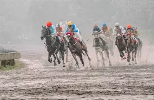 Kejuaraan Nasional Pacuan Kuda Indonesia Derby 2025 Sukses Besar, Pacuan Kuda Bangkit!