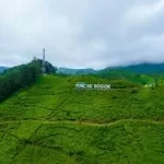 Pemkab Bogor Bantu KLH Evaluasi KSO PTPN di Kawasan Puncak untuk Kelestarian Lingkungan