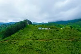 Pemkab Bogor Bantu KLH Evaluasi KSO PTPN di Kawasan Puncak untuk Kelestarian Lingkungan
