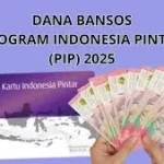 Cara Daftar dan Cek Bantuan PIP 2025 Lewat HP: Mudah dan Praktis