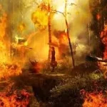 Pedagang Pasar Taman Puring Cari Barang yang Masih Bisa Diselamatkan Pasca Kebakaran