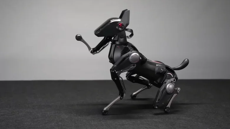 Anda Bisa Membeli Anjing Robot AI yang Dapat Dilatih Ini dengan Harga yang Sama dengan Smartphone Kelas Atas